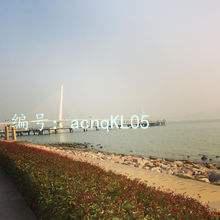 λ