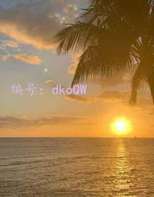 ̫