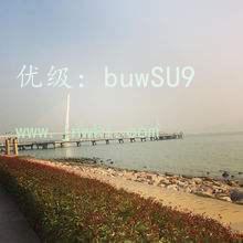 ɱ