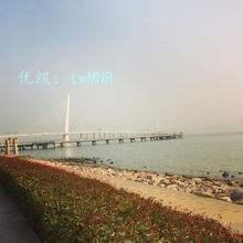 ȫ