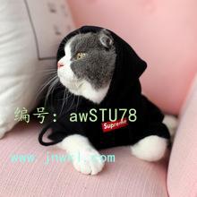 ȫ