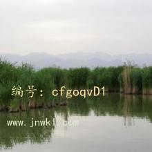 ǧ