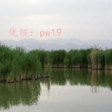 츲