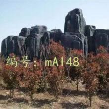 츲