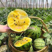 Сħ