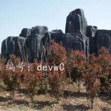 赸