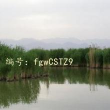 ̫