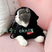 ͥ